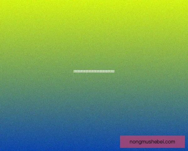 以枪破兑换码为核心揭秘如何获取全新奖励及使用技巧详解