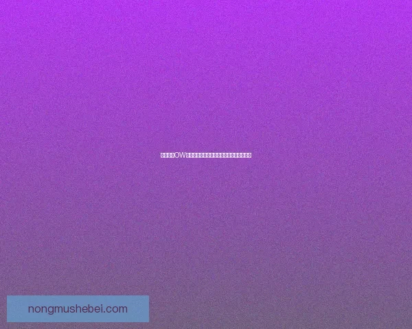 刀剑江湖OW全新篇章震撼开启探索江湖奇遇与决战之路