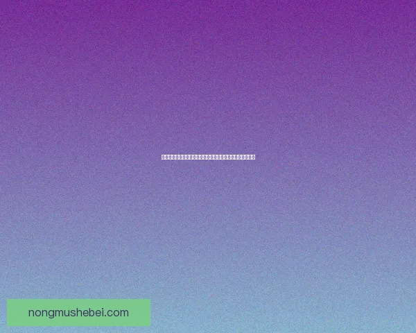 办公室冒险游戏全攻略：从新手到高手的必备技巧与策略指南