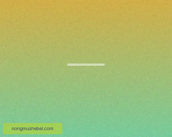 圣灵大能引领信仰之路探索神秘力量与生命转变的深远影响