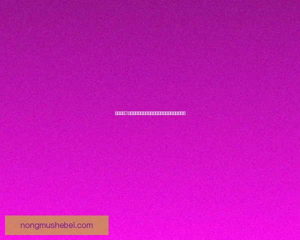 地牢猎手3中文版全面解析：探索新世界与极限挑战的冒险之旅