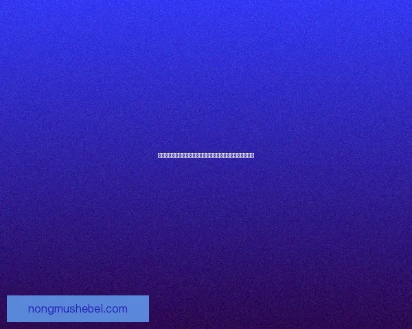 天谕手游全职业解析与角色技能搭配攻略助你轻松上手游戏世界