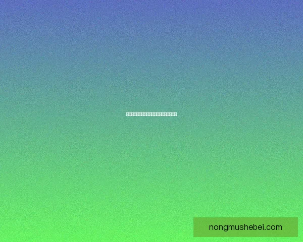 如何进入毁坏的寂静城探索隐藏的秘密与挑战