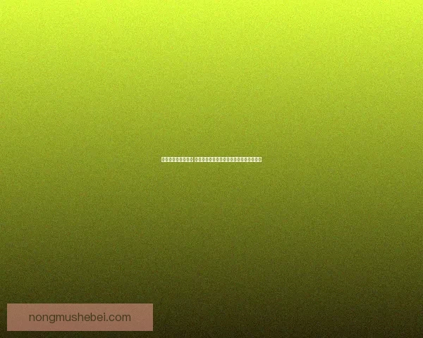 巨兽岛探险任务揭秘 揭开神秘岛屿的古老传说与未知生物的真相