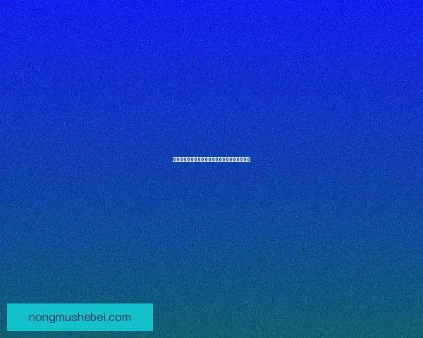 御龙在天银枪传奇揭示战神崛起的荣耀与挑战之路