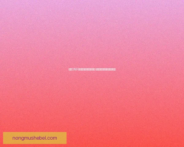 探索DNF西南一区全新玩法与活动 更新内容解析与玩家互动建议