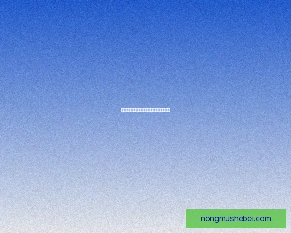 晓月圆舞曲武器深度解析与玩家使用心得分享