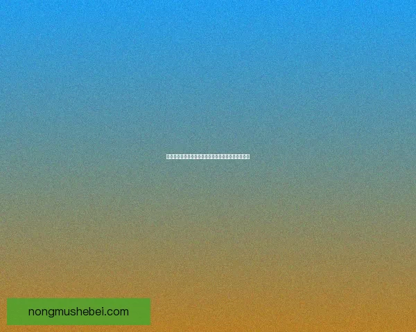 泰坦之旅全程攻略详解从入门到精通提升战力技巧分享