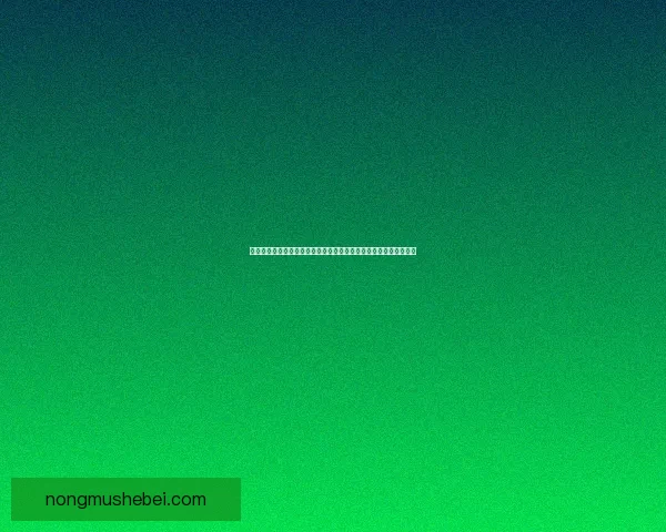 热血无赖闪退问题解析与解决方案全攻略助你轻松应对游戏闪退困扰