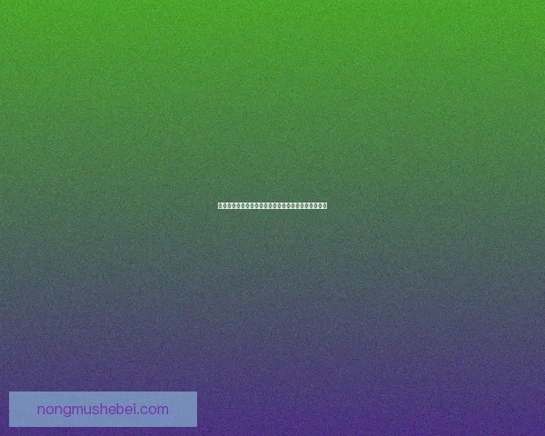 皇家骑士团荣耀传承之路：探索勇者的使命与无畏精神