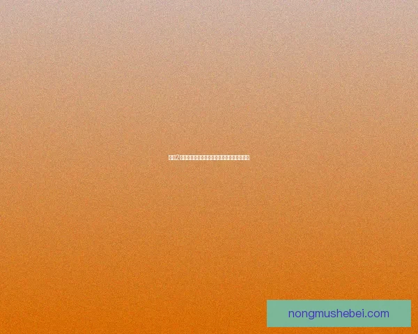 突袭2资源战争中的战略部署与战术运用分析与探索