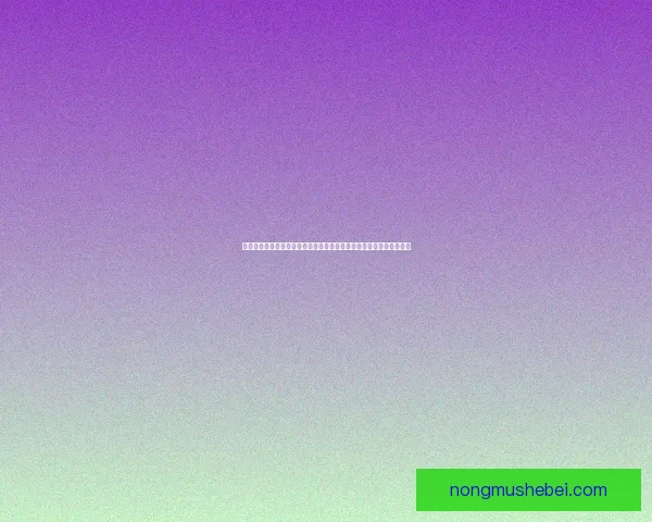 红蜘蛛下载教程：全面解析如何快速安全地获取红蜘蛛软件并高效使用