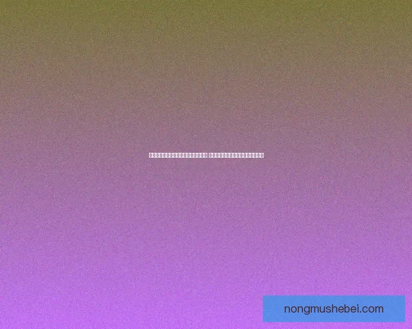 英雄联盟孙悟空最强出装推荐全面解析 提升伤害与生存能力的关键装备选择