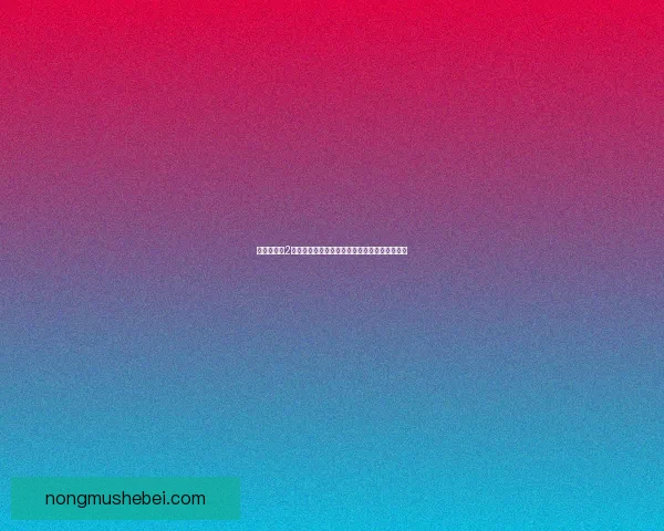 荒野大镖客2大妈一家命运的交织与抉择背后隐藏的悲情故事