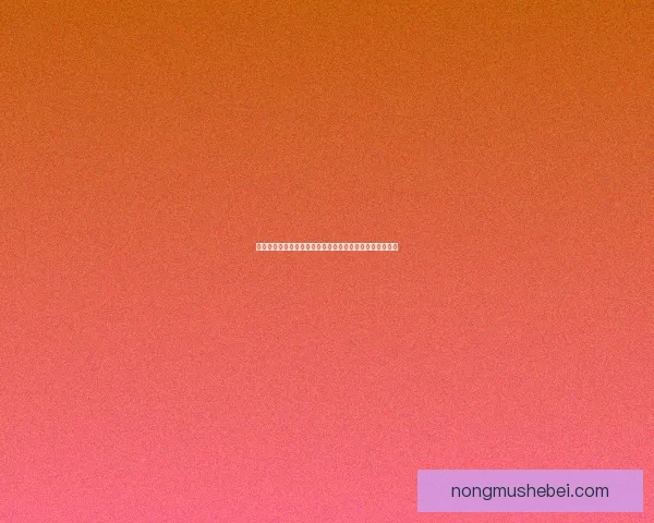 裴擒虎李小龙皮肤全解析：技能特色与文化致敬的完美融合