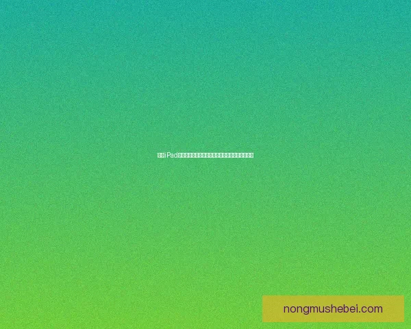 适合iPad的精选好玩单机游戏推荐，轻松畅玩不受网络限制