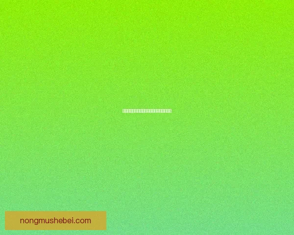 食尸鬼的臂章象征意义与背后隐藏的力量探析