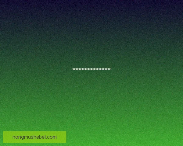 公会声望系统详解：提升个人影响力与团队合作的关键要素