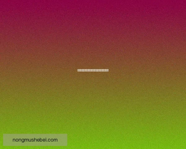 剑网三素冠荷鼎绝世风华探秘与剧情深度解析