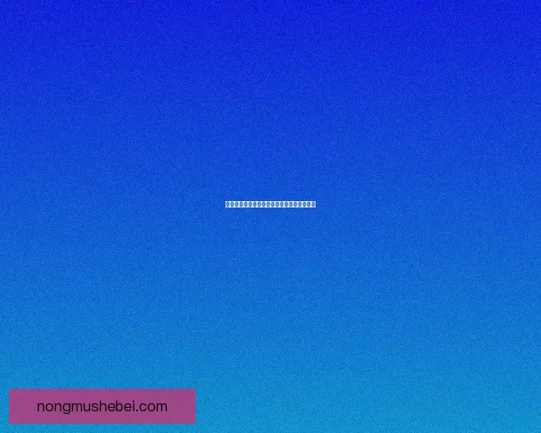 基于空白代码实现的创新编程方法与应用探索