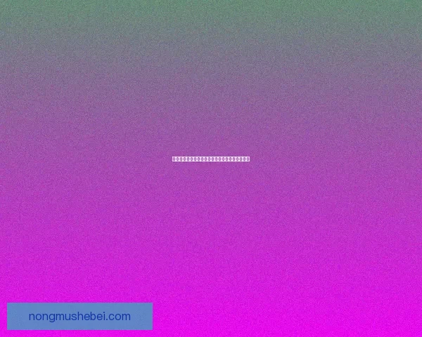 如何从各大城市前往暗月岛并快速到达的详细攻略