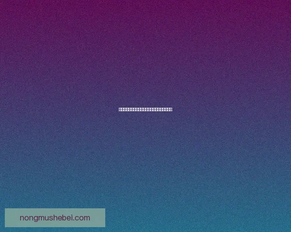 御剑行云，逐梦苍穹：一名剑客的修炼与成长之路