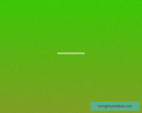 扭曲世界的次元深处探索与未知领域的奇幻冒险之旅